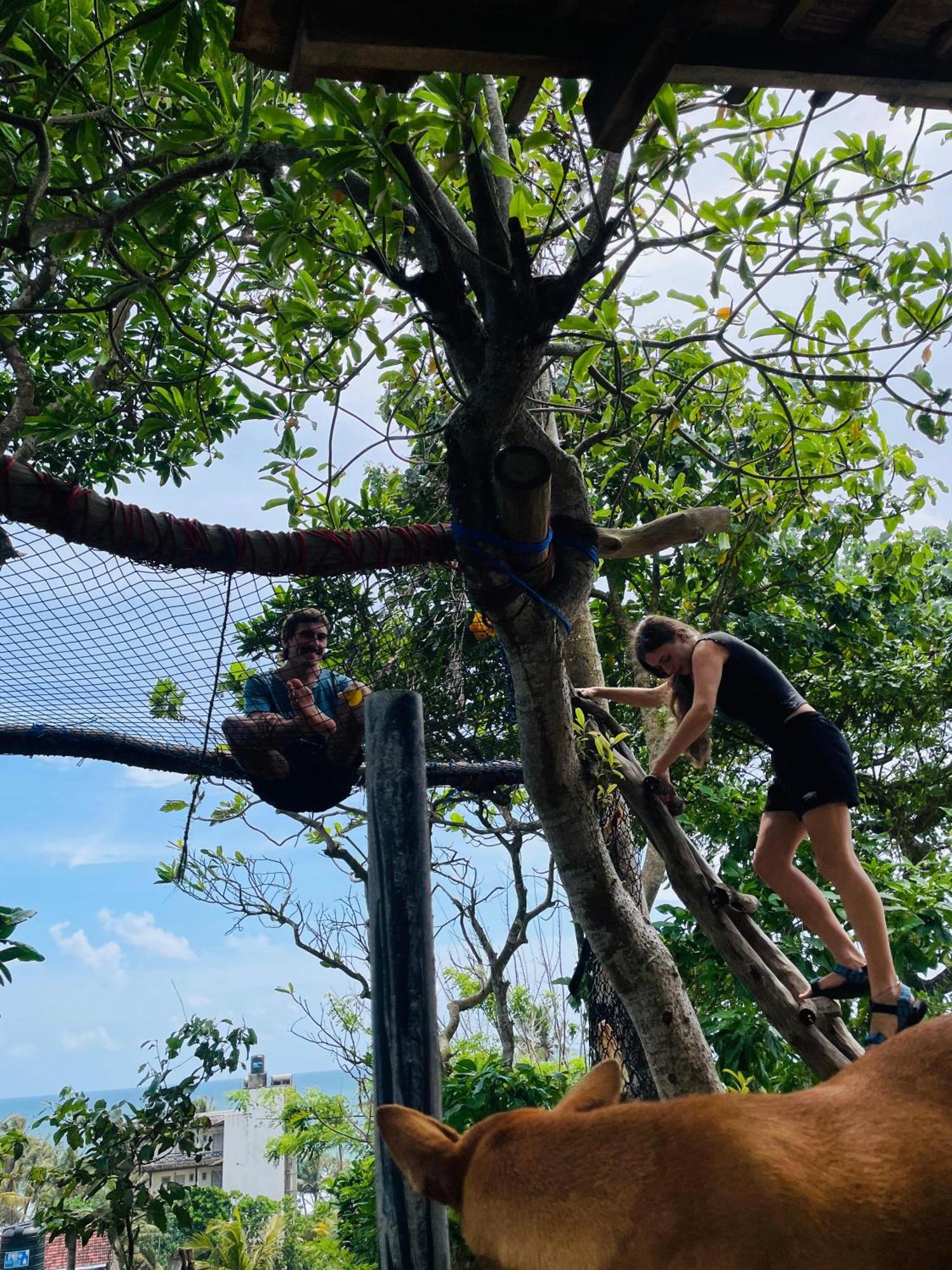 Sky Mountain Cafe With Seaview Bed & Breakfast Weligama Luaran gambar