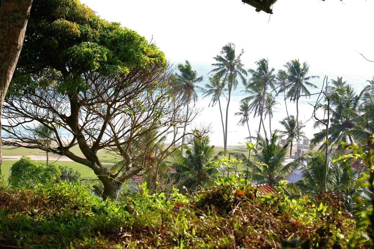 Sky Mountain Cafe With Seaview Bed & Breakfast Weligama Luaran gambar