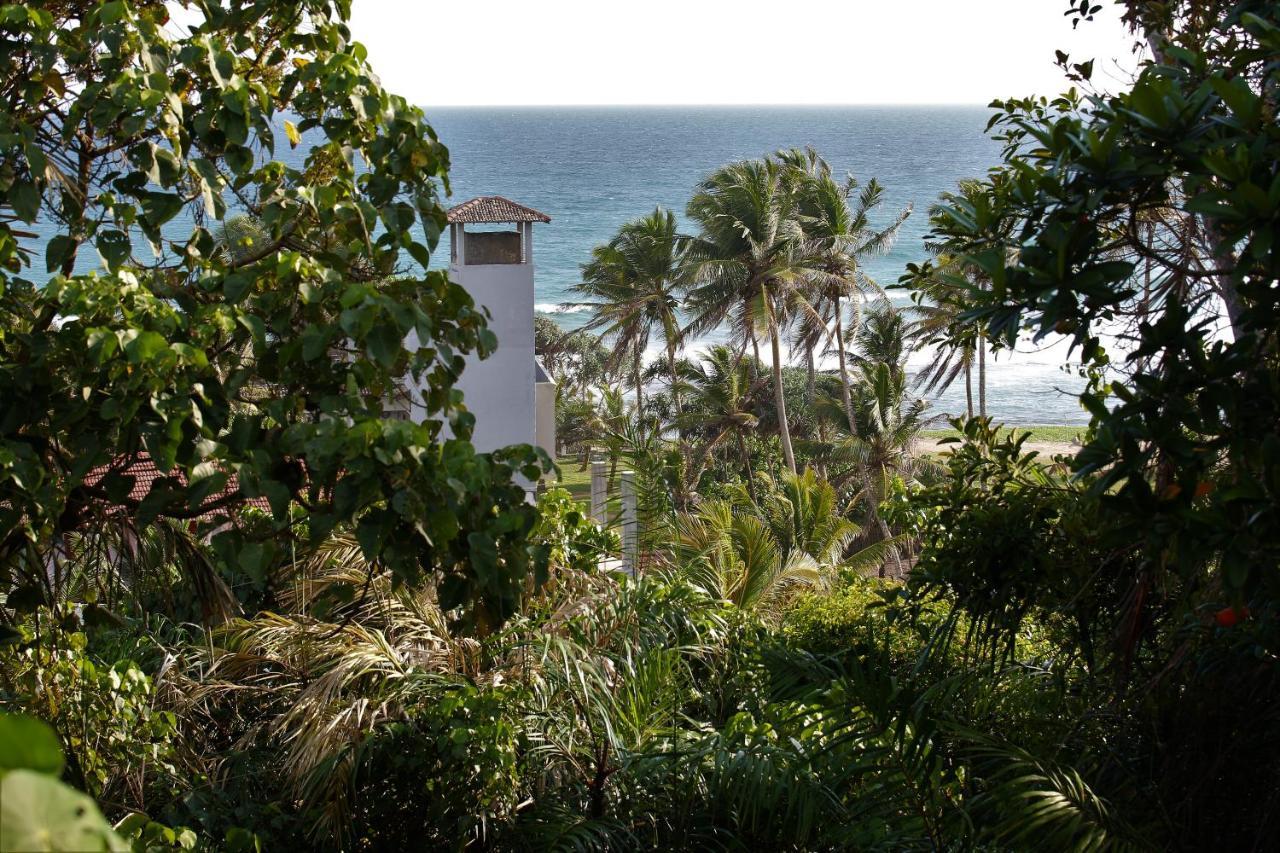 Sky Mountain Cafe With Seaview Bed & Breakfast Weligama Luaran gambar